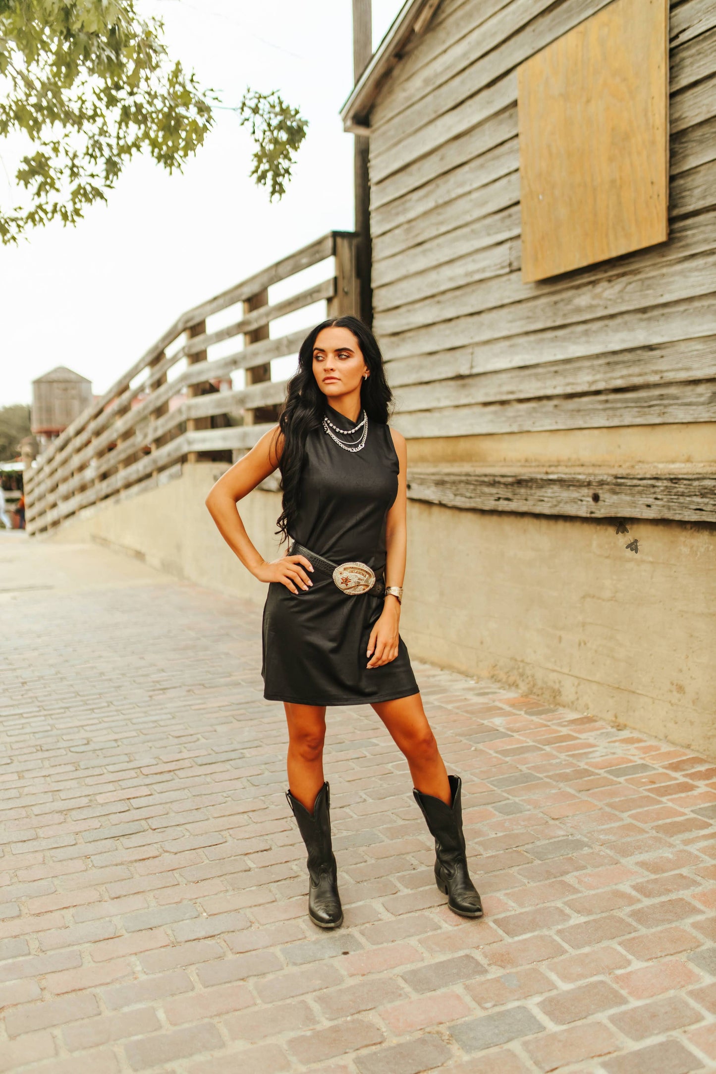 Cheyenne Dress