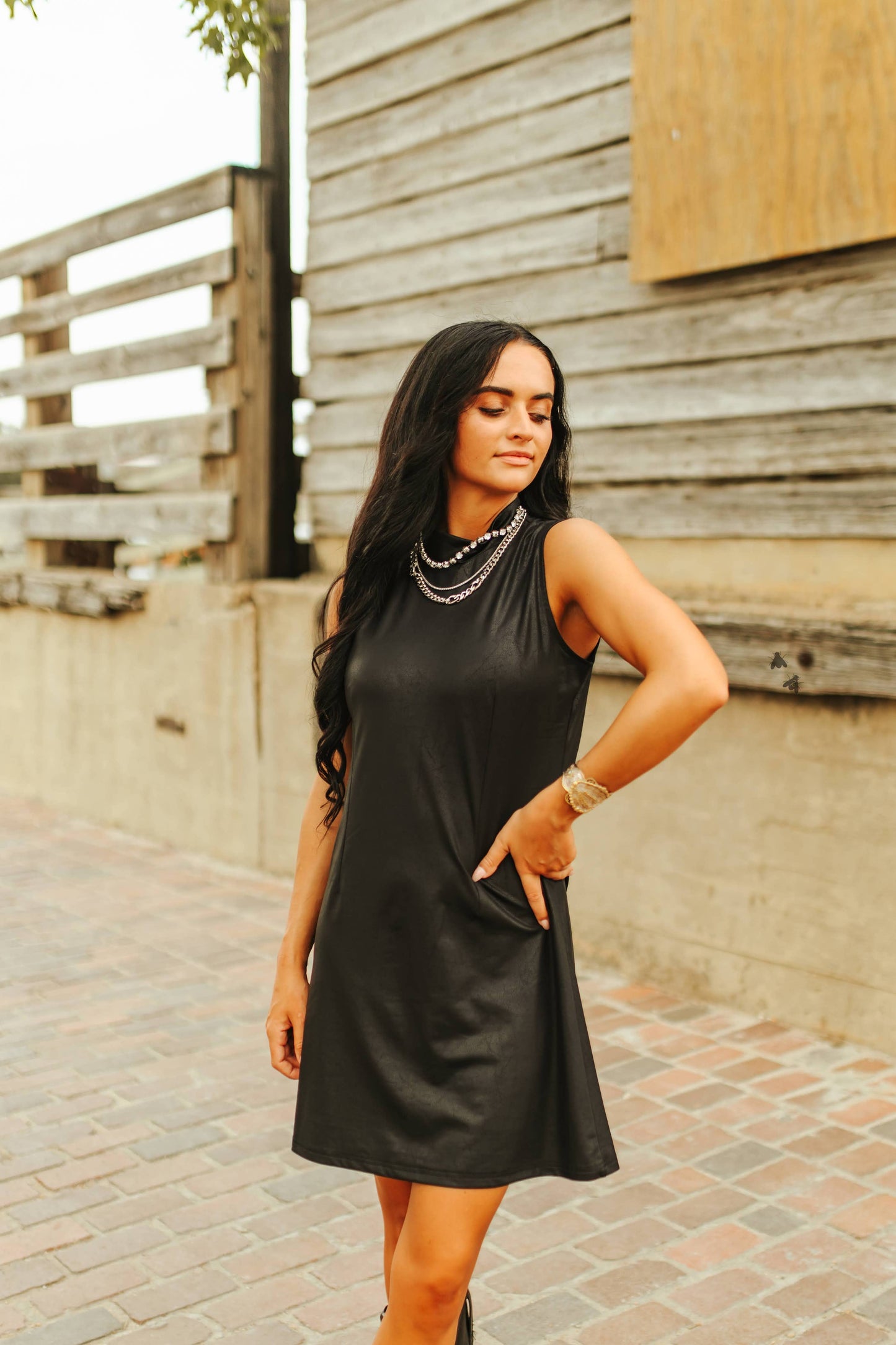 Cheyenne Dress