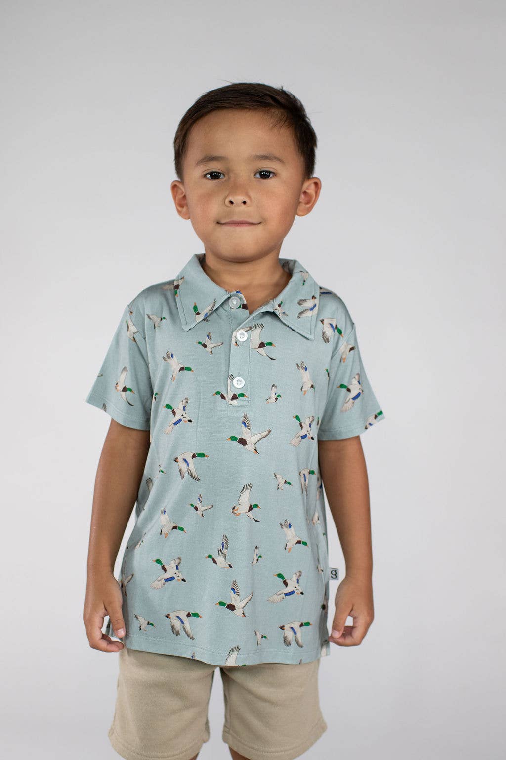 Mallards / Ducks Polo